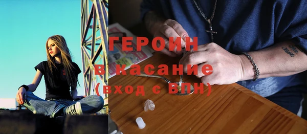 гашик Алексин