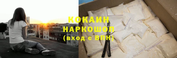 гашик Алексин