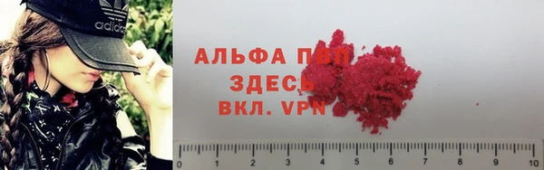 гашик Алексин