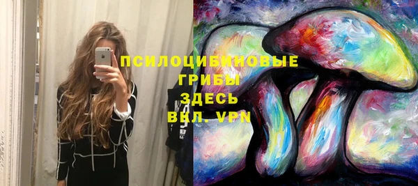 гашик Алексин