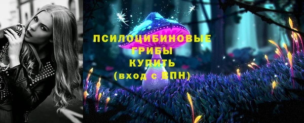 гашик Алексин