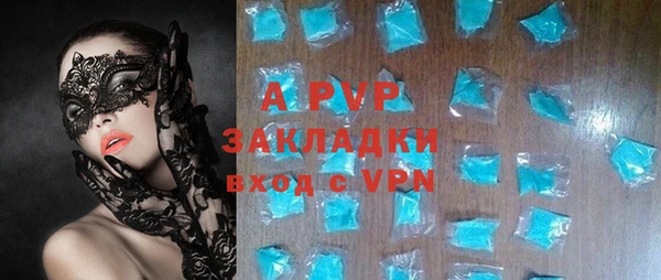 гашик Алексин