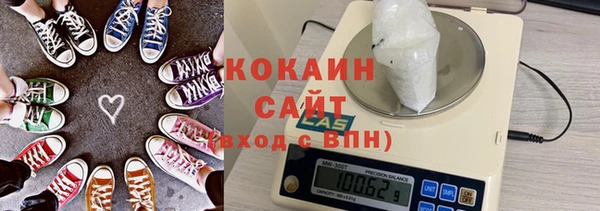 гашик Алексин