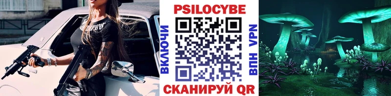 как найти закладки  Апшеронск  MEGA онион  Галлюциногенные грибы Psilocybine cubensis 